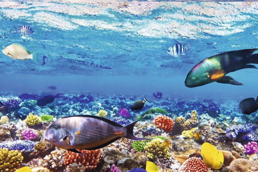 Hurghada--magic-gate-travelers-egypt