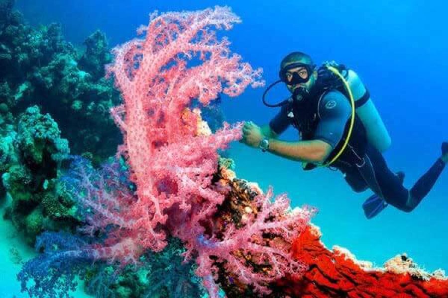 Sharm-El-sheikh-magic-gate-travelers-egypt